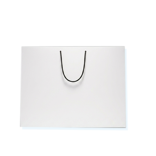Matt Card 250gsm bag