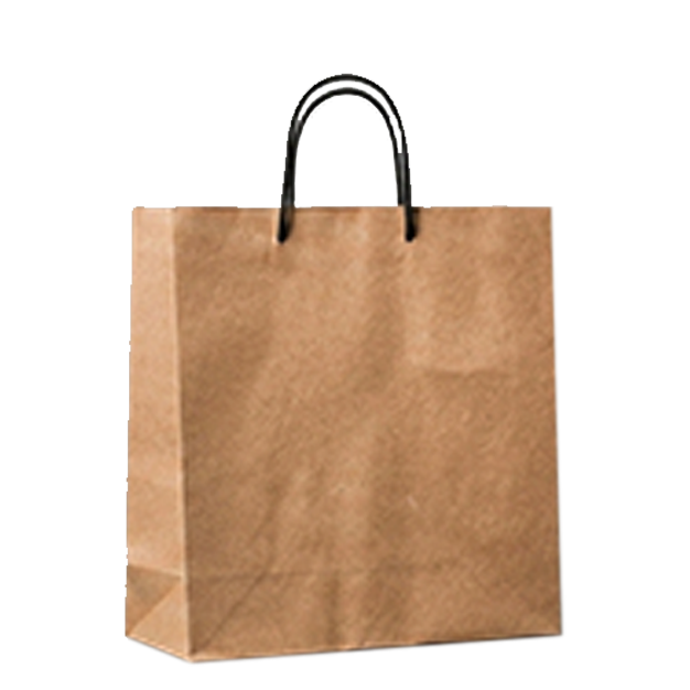 Duplex Board paper bag